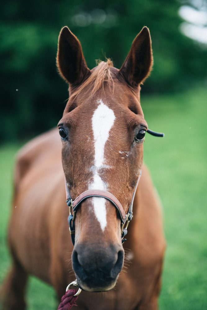 Gordon posing for the camera