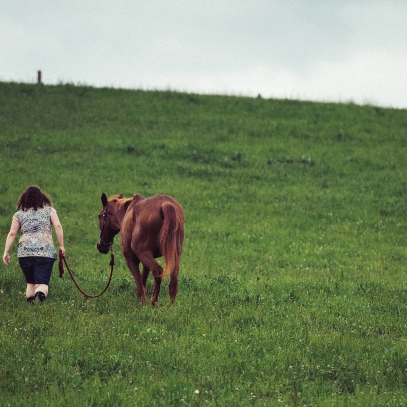 Saying goodbye to a piece of my&nbsp;heart