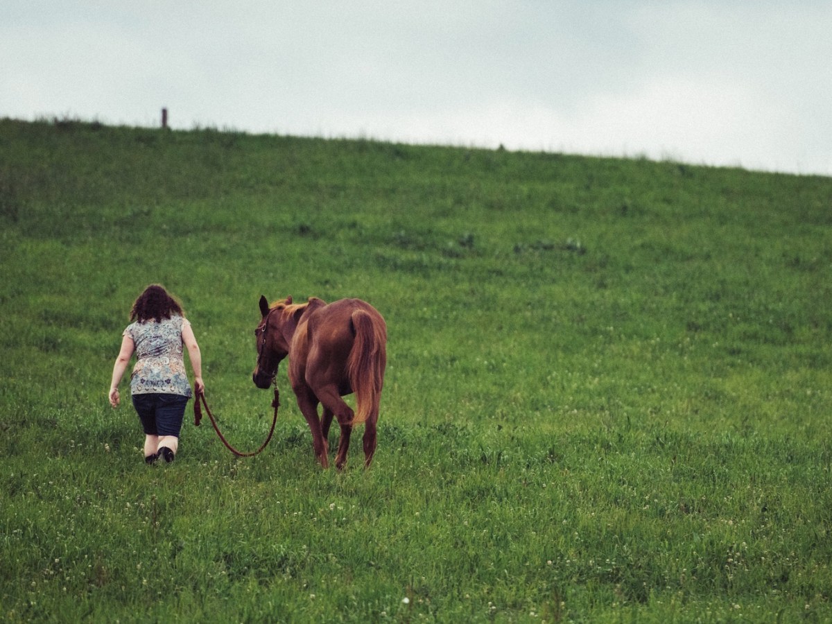 Saying goodbye to a piece of my&nbsp;heart